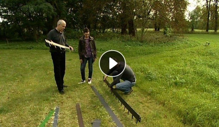 Maja w ogrodzie - Obrzeża trawnikowe